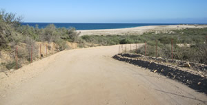 Baj dirt road cabo pulmo