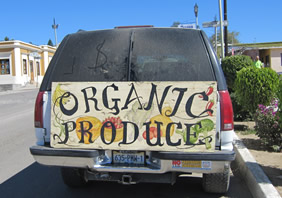 Organic Produce Baja