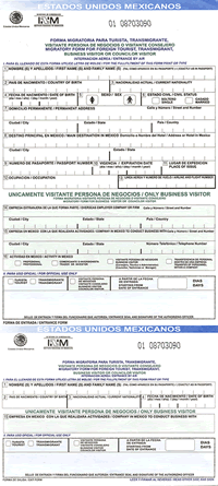 Baja tourist visa
