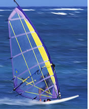 Baja windsurfing