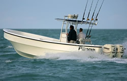 fishing license