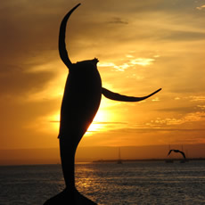 La Paz Baja