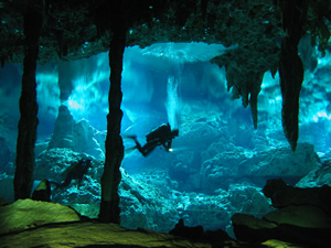 Cenotes Scuba Diving