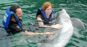 Xel-Ha Dolphin Encounter