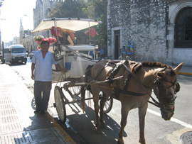 Merida Horse Carriage